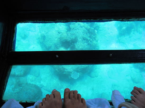 auf Schnorcheltour II - Glasbottomboot