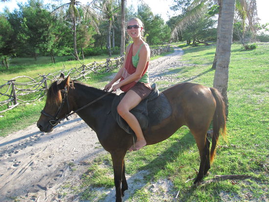 dies war das Pferd vom Guide mit Sattel 