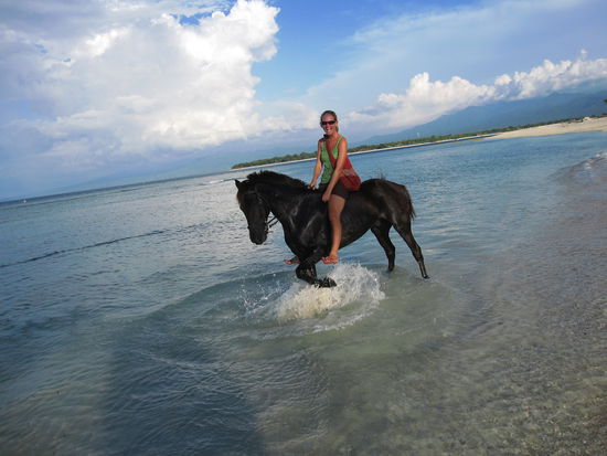 und das war "mein" Pferd...ist das nicht ein tolles Foto ?