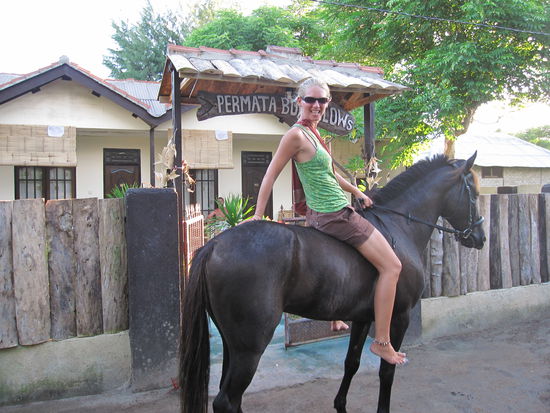Welcome Home! Wer kann schon mit seinem Pferd direkt vor die Haustuer reiten?