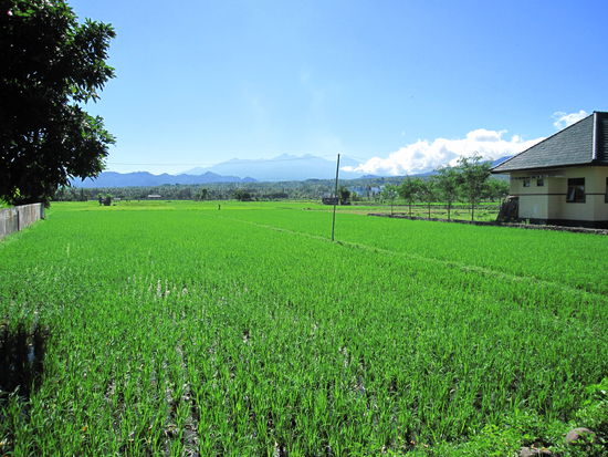 Eindruecke von Lombok I
