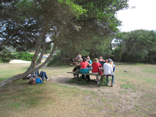 gemeinsames Essen in der Freiheit