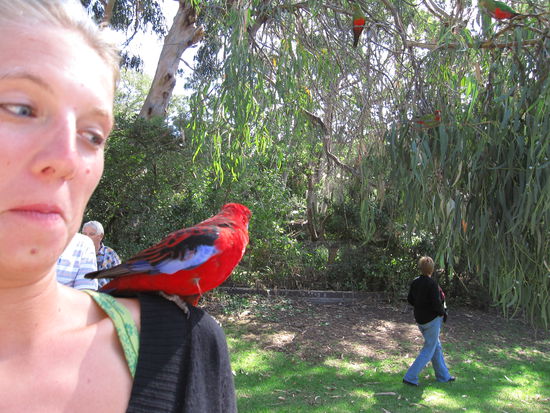 ah...was macht der Vogel dort?