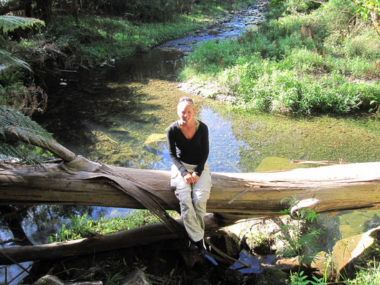 Australien ! Auf einer Lichtung im Regenwald