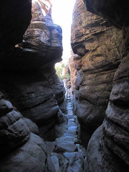 netter Pinnacle Walk