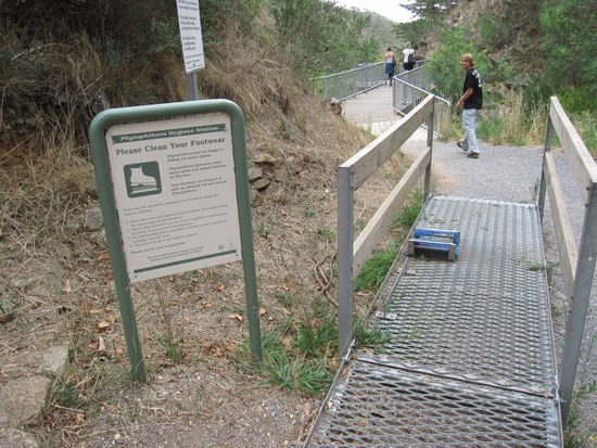 auf dem Rueckweg vom Mt. Lofti Lookout...please clean your Footwear...die strengen Australier mal wieder