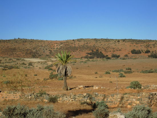 ja, das ist wirklich die Wueste