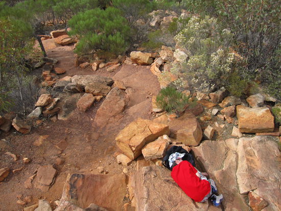 na dann mal:"Gute Nacht"