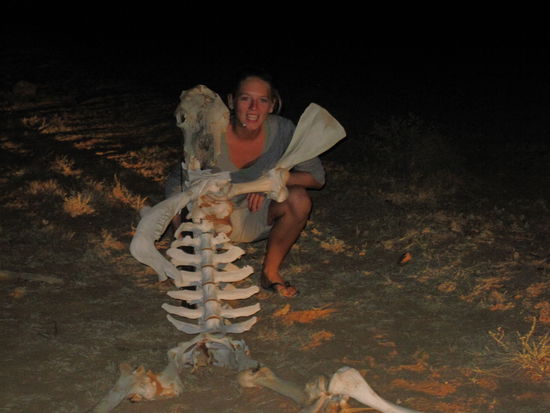 und schon wieder etwas Verruecktes: ein sitzendes Skelett (war wohl mal eine Kuh)