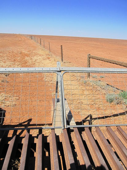 Dingofence...ueber diese Metallschienen koennen die Dingos nicht laufen