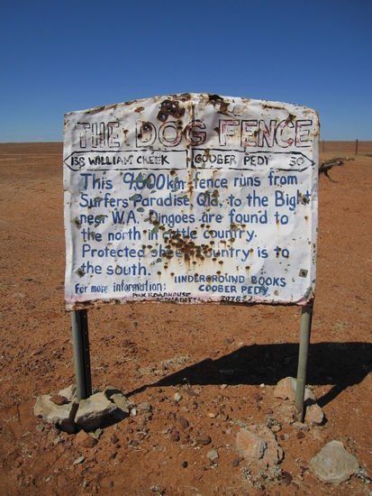 Dingo Fence