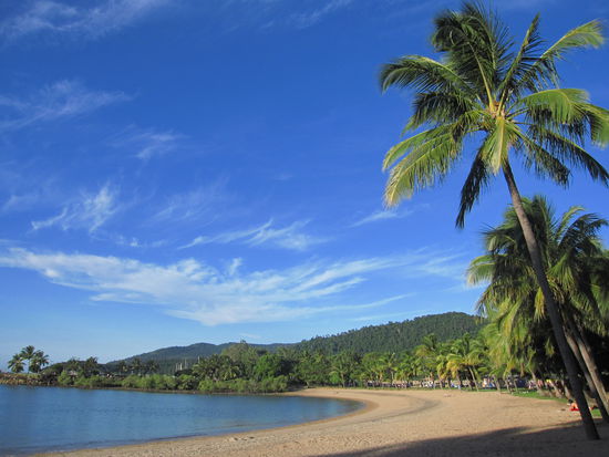 der Beach von Airlie Beach...nicht gerade der Hammer