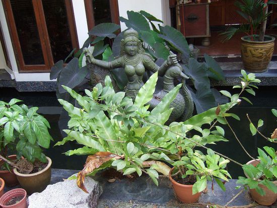 Balinesische Skulpturen