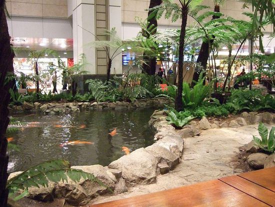 Changi Airport, der beste Flughafen überhaupt!
