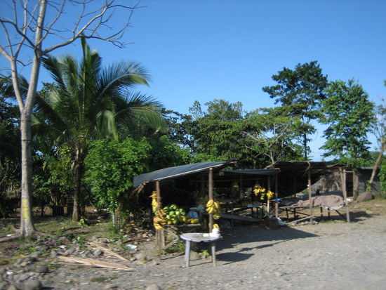 Auf dem Weg nach Cahuita