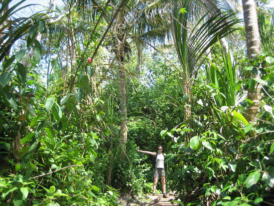 Ausflug ins "Gruene"