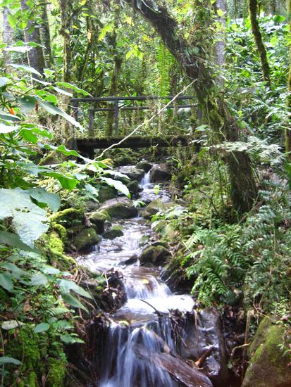 ...fast wie in den Alpen...