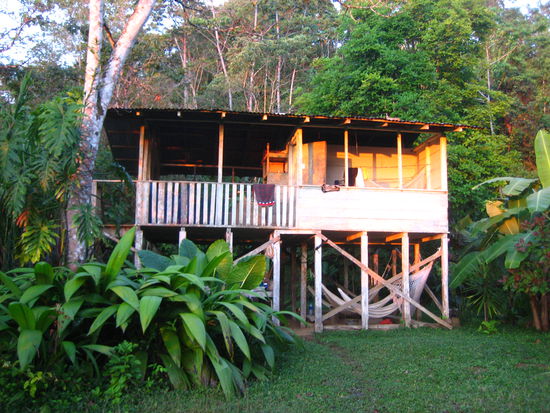 ...Dschungelcamp Bolita...