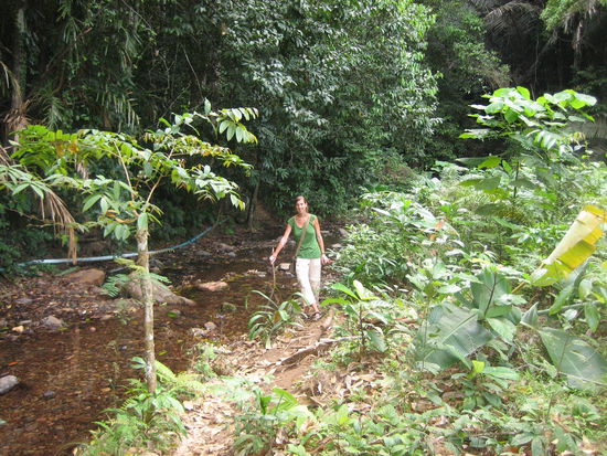 Mal wieder wandern im Busch 