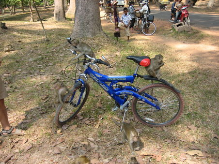 Unsere Bikes waren heissbegehrt