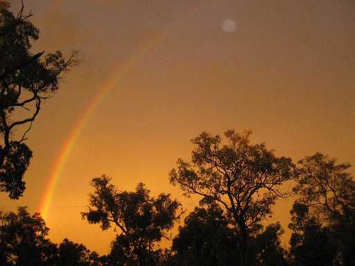 ...auf der Suche nach dem Schatz am Ende des Regenbogens