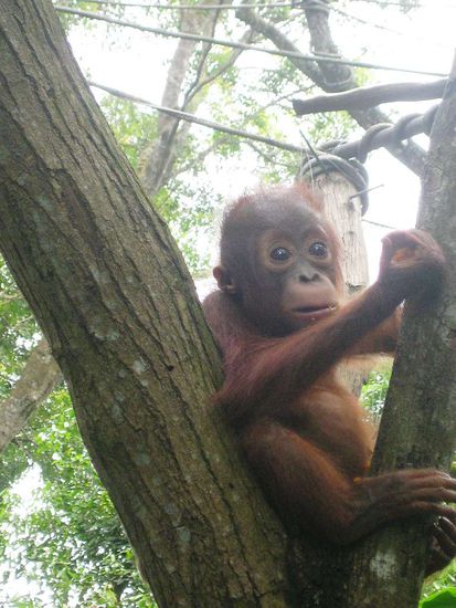 ich will's haben und mitnehmen