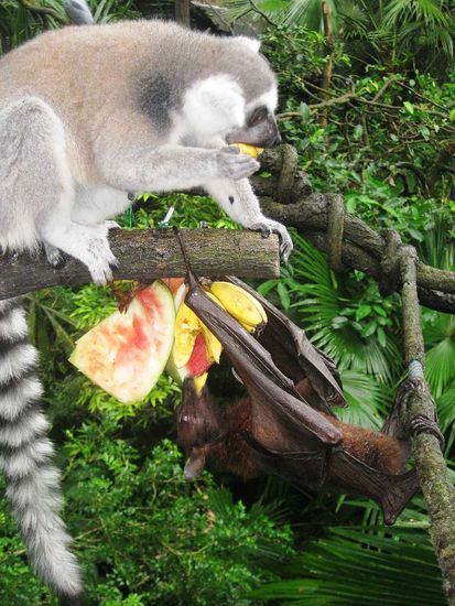 freundliches Miteinander