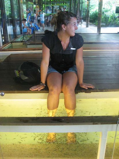 nach einem ganzen Tag laufen....Fisch-Spa