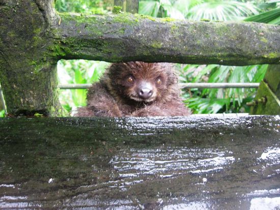 ich bin verliebt in das Ding