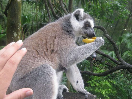 ein Zoo zum Anfassen