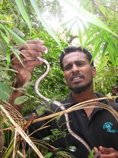 unser Führer weiß über ALLES was zu erzählen