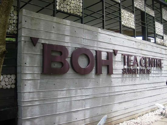 endlich bestätigt, in meinem Pfefferminz-Teebeutel ist tatsächlich nur Abfall drin