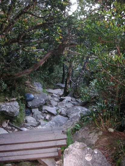 und die Stufen wieder runter