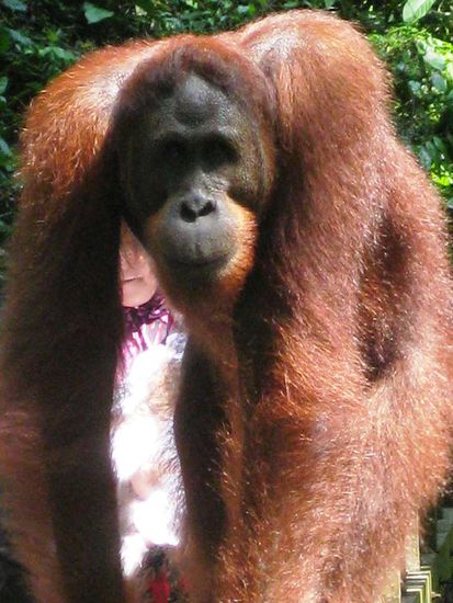 "Katze!" (Monsters Inc.)