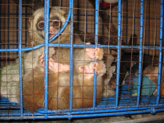 schaut's mal DIE Fingerchen an.....wie bei am Baby