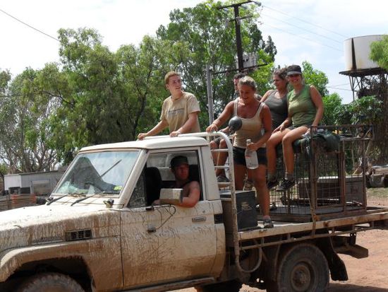 the ute