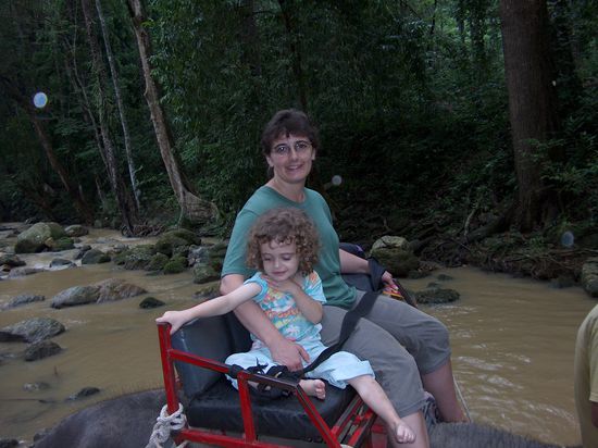 Zwei Fliegengewichte... dieser Elefant hatte es schoenner....