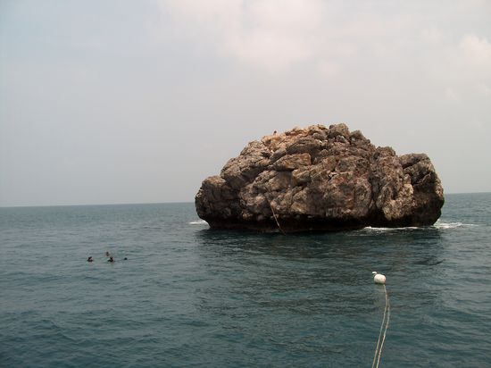 Leider wieder zurueck...