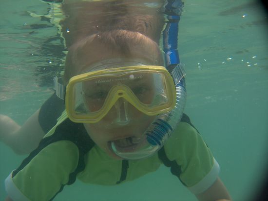 Paedi die Wasserratte