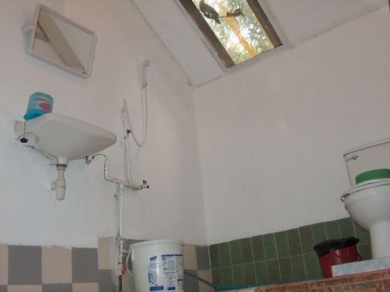 Bad, Ameisen inkl...