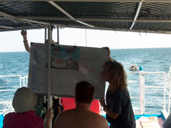 Tine bei den Safety Rules