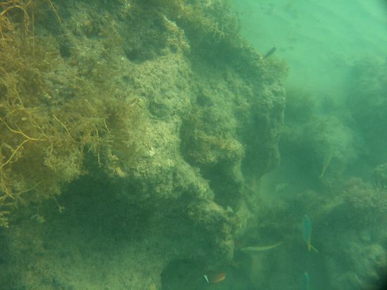 Nochmals ein paar Fische