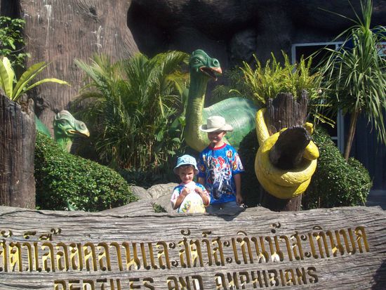 Welches sind den nun die Dinosaurer???