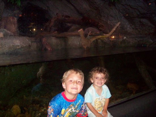 Toll, die Bieber... (hinten im Aquarium)