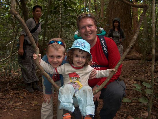 Naturschaukel im Dschungel