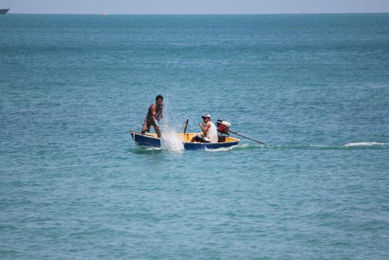 so werden die Fische ins Netz getrieben