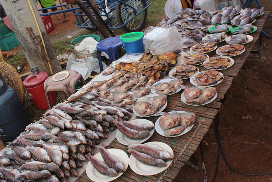 Fischstand auf dem kleinen Markt....