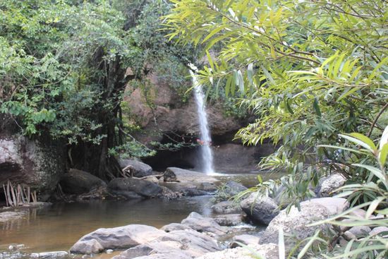 Der Wasserfall von Leonardo di Caprio