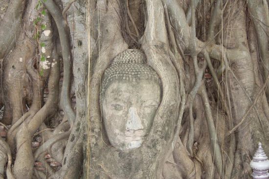 Beruehmtes Bild aus Ayutthaya