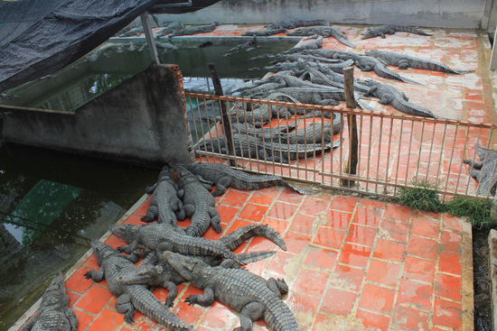 etwas andere Kaliber.....